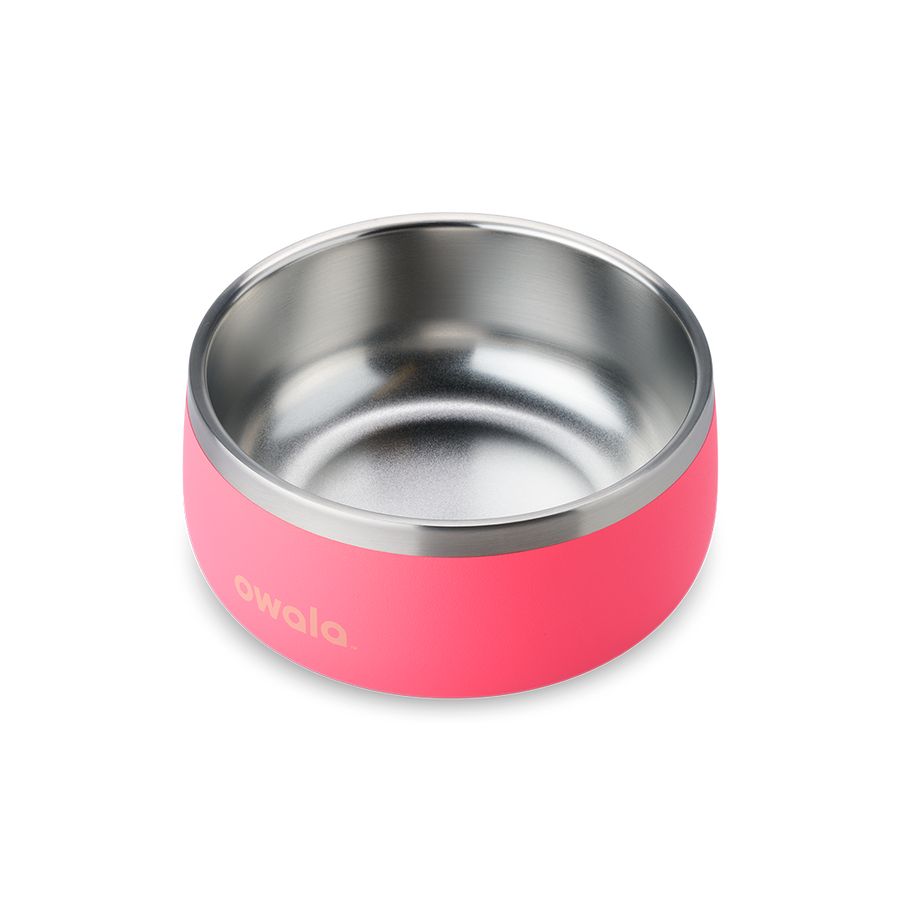 Hyper Flamingo Owala 2 Pet Bowl | AUD6332F