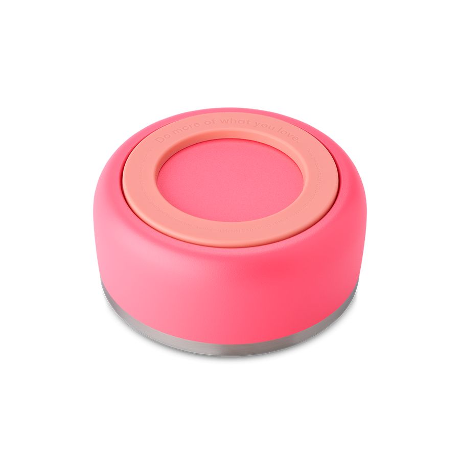 Hyper Flamingo Owala 2 Pet Bowl | AUD6332F