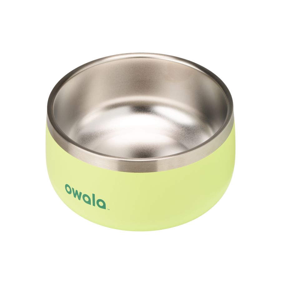 Sweet Treat Owala 7 Pet Bowl | AUK6327O